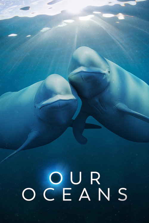 How to Watch Our Oceans Online in 4K